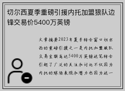 切尔西夏季重磅引援内托加盟狼队边锋交易价5400万英镑